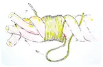 Whipping marine ropes to prevent the ends fraying, how to use whipping twine to prevent rigging and yacht ropes from untwisting.